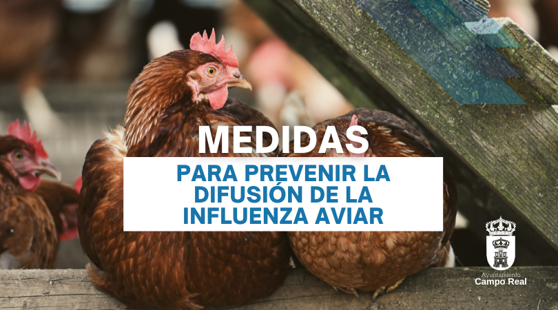 Medidas sanitarias para prevenir la difusión de la influenza aviar en la Comunidad de Madrid