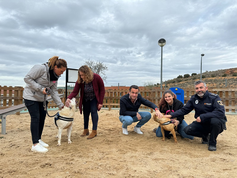 El Ayuntamiento de Campo Real lanza una plataforma para promover la adopción de perros abandonados